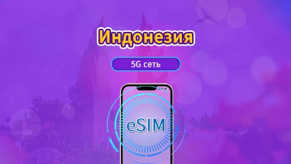 Индонезия | 5G/4G eSIM | На день / Пакет данных | Трафик обновляется раз в 24 ч. | 1-30 дн. | QR-код