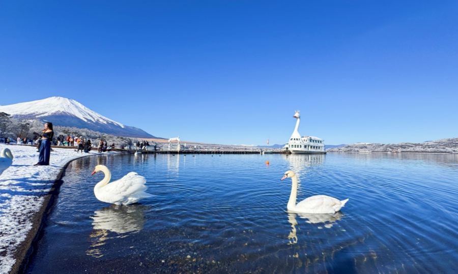 Fujikyu Railway Experience Day Tour