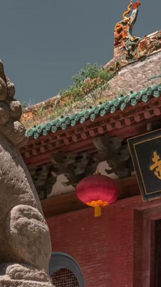 Songshan Shaolin Scenic Area 1-day tour ◆ Light luxury small group + door-to-door transfer + English-speaking guide