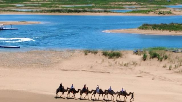 【包車遊】烏海湖+拉僧廟+遠觀甘德爾山·烏海一日遊