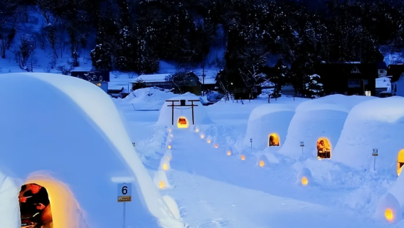 1-Day Private Charter Tour in Nagano, Japan|Jigokudani Yaen-Koen - Iiyama Snow Huts (Winter Exclusive)