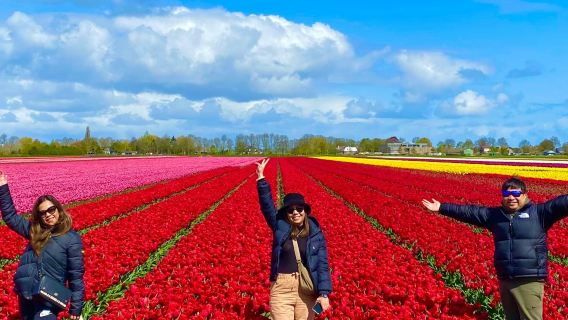 อัมสเตอร์ดัม: ทัวร์ชมดอกทิวลิปพร้อมไกด์ + อาหารกลางวัน
