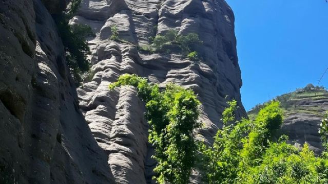 龍巖出發連城包車9小時一日遊|打卡冠豸山景區+石門湖+九龍湖