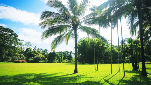 Dai autonome prefectuur Xishuangbanna naar Optionele Bestemmingen Dagtocht met Privéauto: Geniet van de Onmisbare Hoogtepunten van de Stad