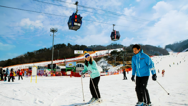 비발디 파크 리조트 투어: 스키 / 스노보드 / 스노우 파크
