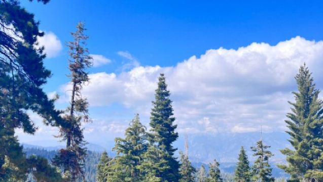 美國舊金山+加州1號公路一日遊/行程可調-可定制