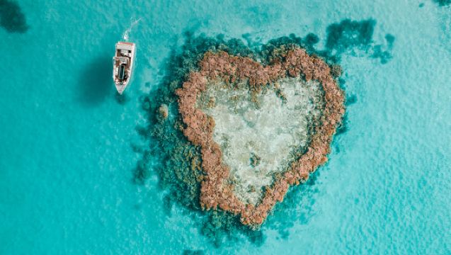 ウィットサンデー諸島エアリービーチ/ハミルトン島ハーディリーフ港周遊ワンデーツアー-飛行機オプション可