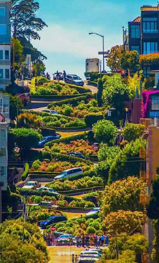 San Francisco city highlights 1-day private charter tour