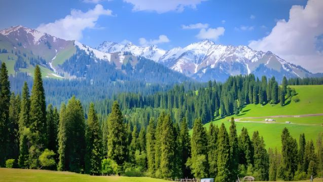 Kurdenin Day Tour from Yining | Forest Hiking Adventure1-Day Small Group Tour