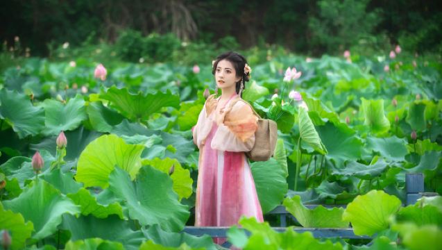 Linquan trip moments[Photography and shooting services including photos, short videos, promotional videos, children and family-friendly portraits, wedding photos with all raw images provided]