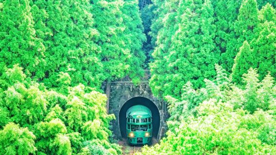 Однодневный тур по Кюсю: Дзайфу + канатная дорога Беппу + экскурсионный поезд Юфуин/Юфу-но-Мори