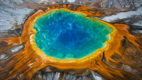 1-day private chartered tour to Yellowstone National Park, Mammoth Hot Springs and Norris Geyser Basin in the US