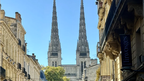Professional interpretation in Bordeaux, France | guide and local guide, travel guide, business translation/private customize