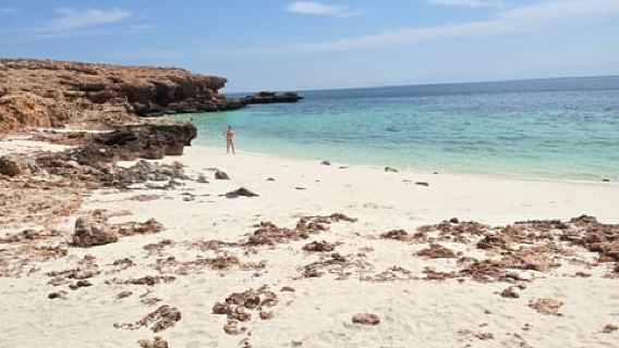 Seeb: DaymaniyatIsland Snorkeling Tour with barbeque & gopro