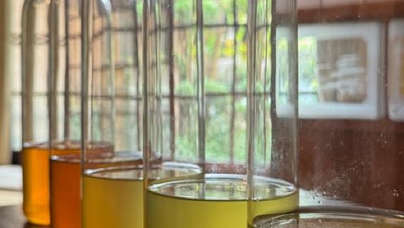 Nara: Mindful Tasting of 5 Japanese Teas and Tea Ceremony