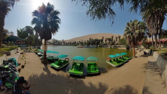 Miraflores – Lima: Full-Day Tour of Paracas and Huacachina + Vineyards and Bilingual Guide