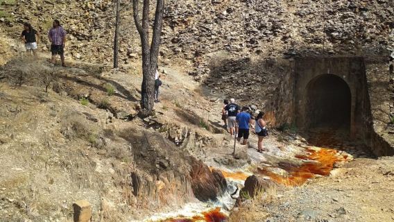 From Seville: Full-Day Aracena & Rio Tinto Mines Tour