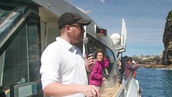 Sydney : croisière d'observation des baleines de 2 heures au départ de Campbells Cove