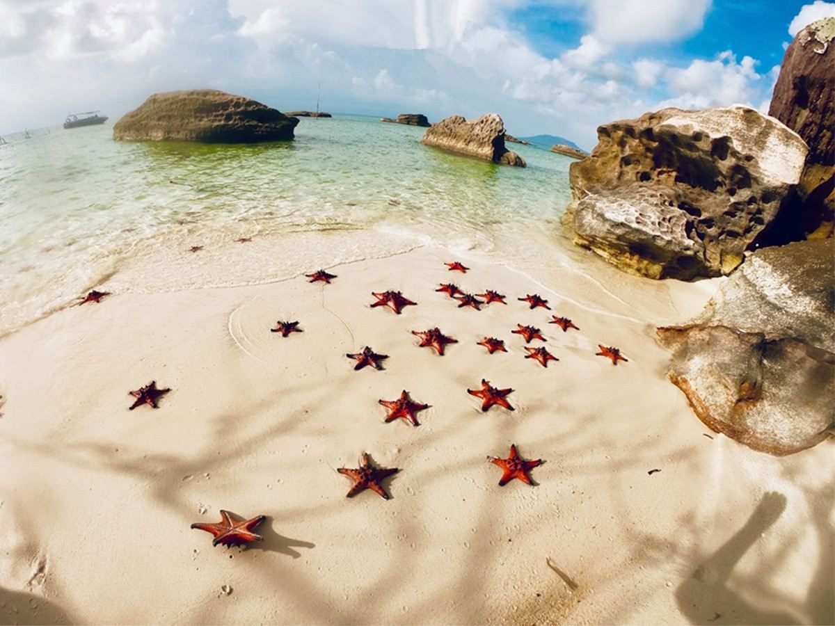 Tour di un giorno a Phu Quoc Island Nord (kayak/villaggio di pescatori originale/pranzo incluso/trasferimento dall'hotel)