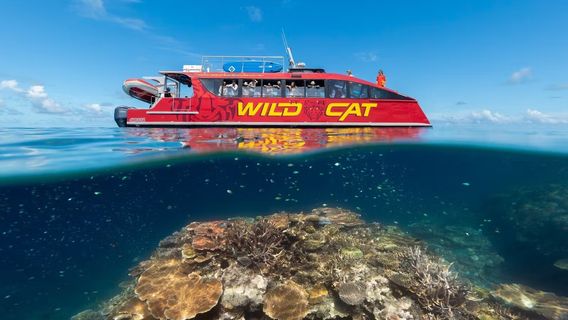Airlie BeachTours