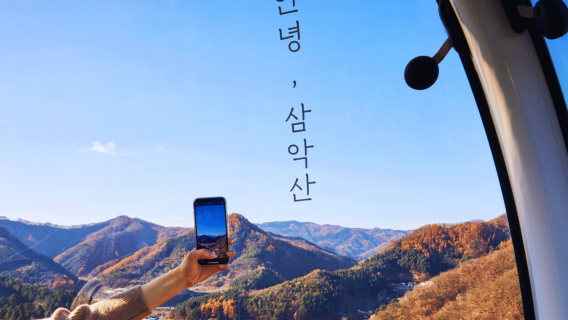 Nami Island X Chuncheon Samaksan Lake cable car X Alpaca World