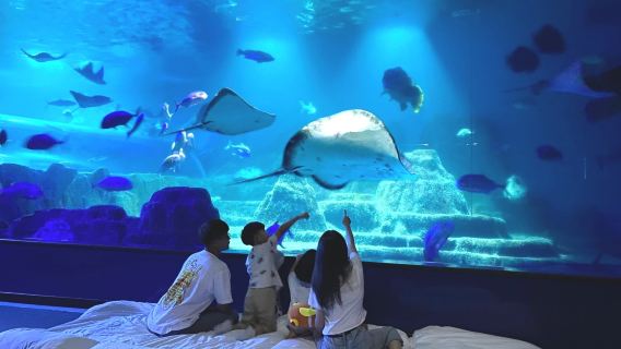 Hualien Farglory Ocean Park | Sleepless Night by the Ocean, Overnight Stay at the Aquarium, Overnight Stay at the Dolphin Pavilion, Accommodation Experience | Summer Sales Now On