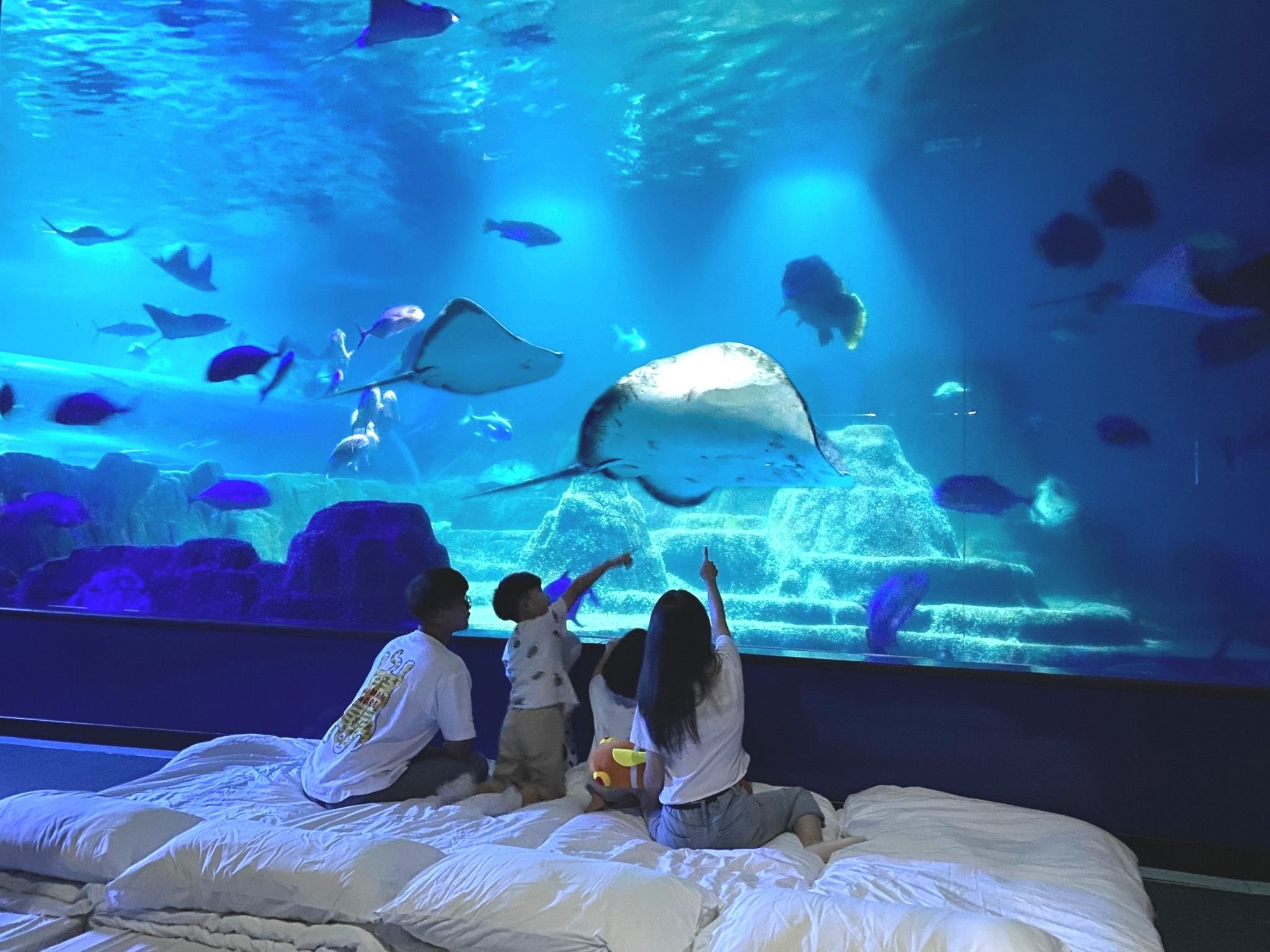 Farglory Ocean Park in Hualien | Sleepless Night by the Ocean, Overnight at the Aquarium, Overnight at the Dolphin Pavilion, Accommodation Experience