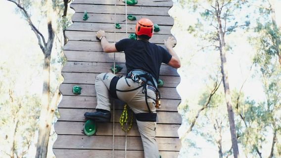 Forest Adventures South West: Biglietto d'ingresso