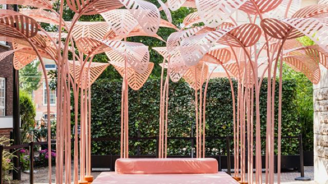 Museo Moco de Ámsterdam: Entrada