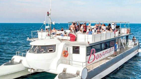 Valencia: Marina Catamaran Cruise
