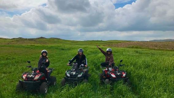 LarnacaTours