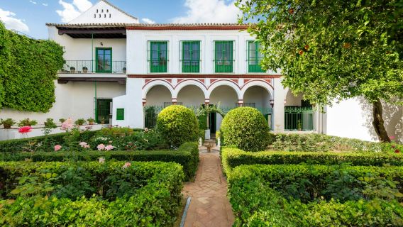 Bucarelli Palace: Entry Ticket