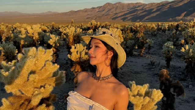 美國鳳凰城、約書亞樹國家公園-救贖山12h包車【精選老司機】