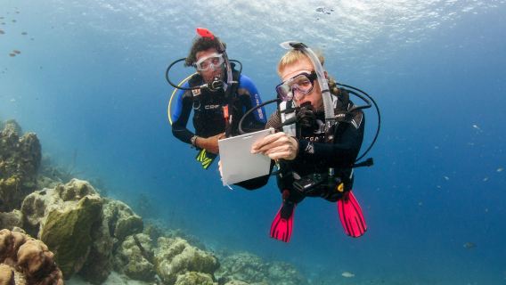 PADI Open Water Diver Course