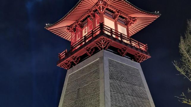 洛陽博物館+遺址公園天堂名堂+九州池+白馬寺一日遊中英文服務