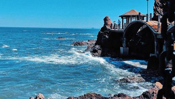 tour 1 ngày Bảo tàng Văn hóa Rượu vang Trường Vũ Yên Đài + Bến tàu Đông Sơn + Lâu đài Văn Thành - Có dịch vụ tiếng Anh