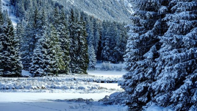 挪威·特羅姆瑟+塞尼亞島senja島【中文司導豪華團】