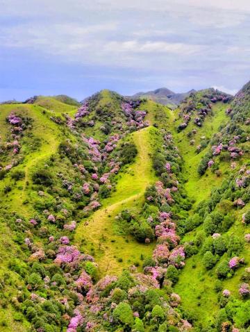 ทัวร์วันเดียว/ทัวร์หลายวัน ภูเขา Yangjiang Yutun + อ่าว Pearl + Fei'e Ling + หมู่บ้านชาวประมง Tai O 