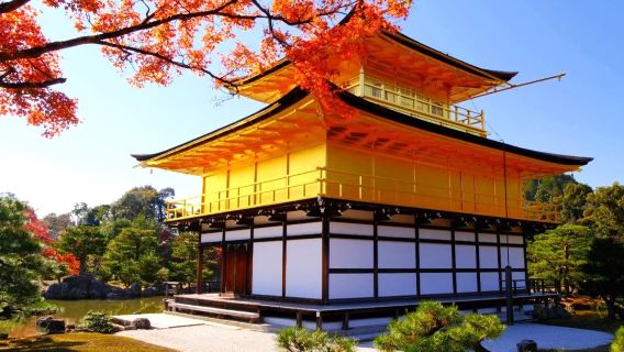 Peregrinación de un día por Kioto: Templo Kiyomizu-dera + calles Ninenzaka y Sannenzaka + Pabellón Dorado + Santuario Fushimi Inari Taisha (los mil torii) - Descubriendo el milenario Kioto