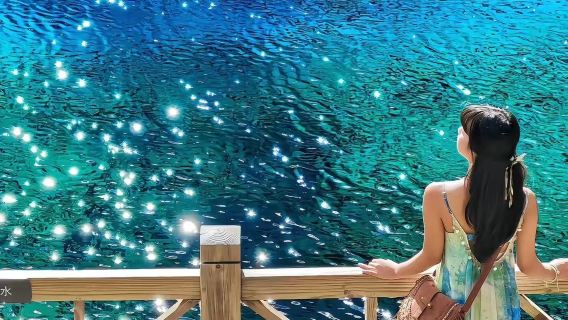 Отправление из Чэнду на скоростном поезде до станции Хуанлун-Цзючжай / Хуанлун + Цзючжайгоу 2-3 дня (частная поездка с водителем и прокат автомобиля)