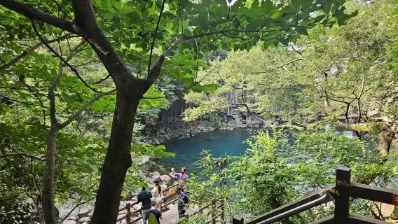 濟州市首個英語巴士之旅，自 2008 年起帶您探索西南地區及漢拏山濟州市亮點