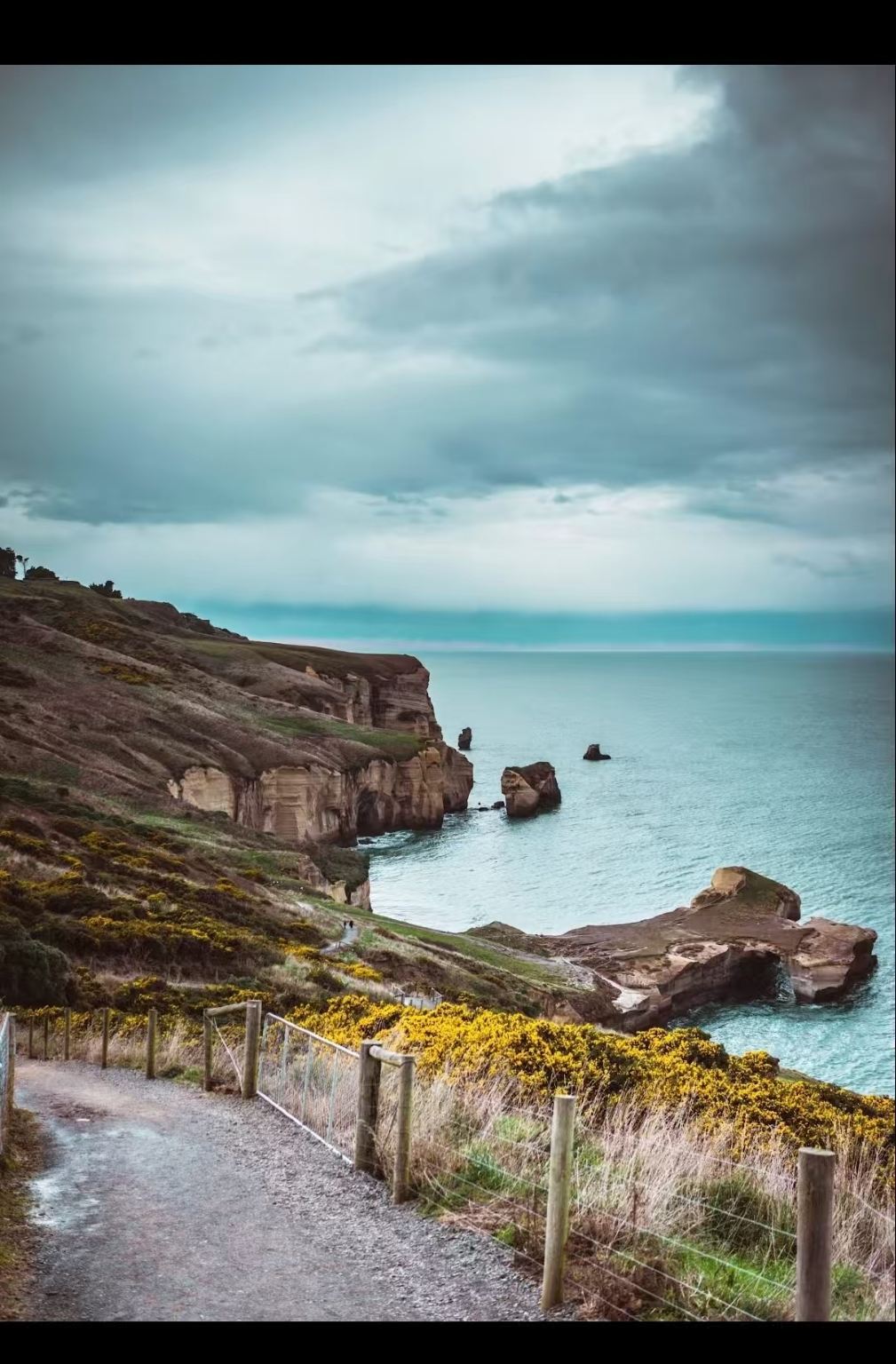 紐西蘭文藝小城但尼丁+隧道海灘+奧塔哥半島一日遊