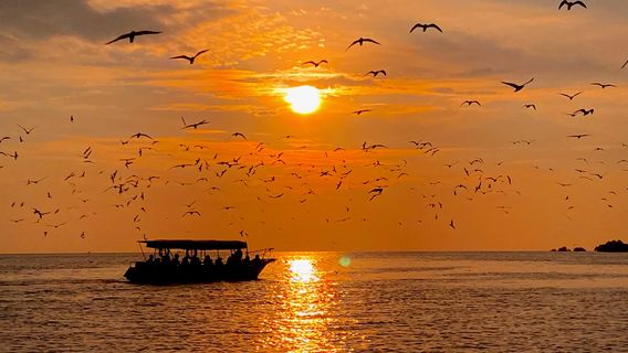 Kuala SelangorTagestouren