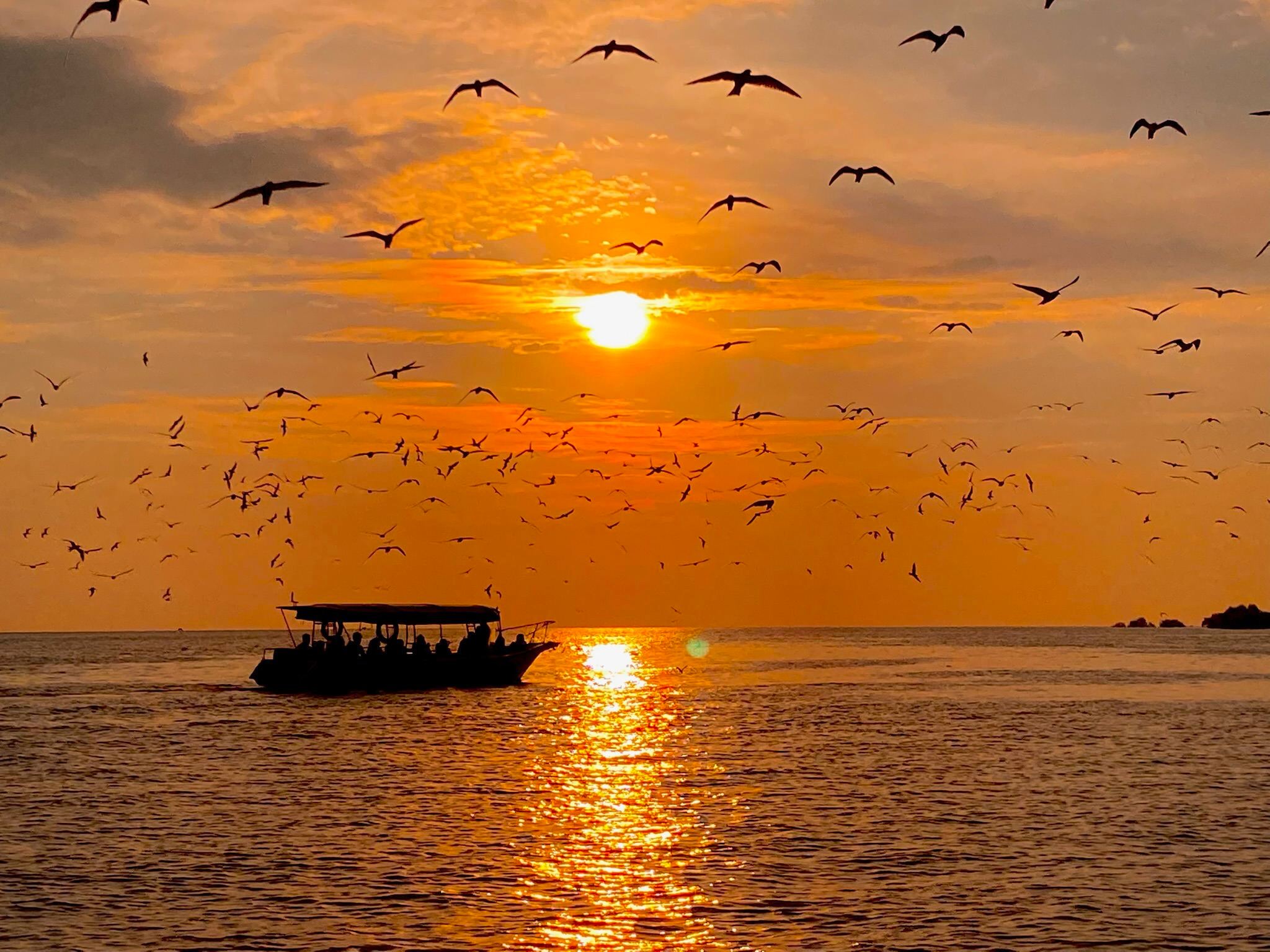 Adlerfütterungserlebnis in Kuala Selangor