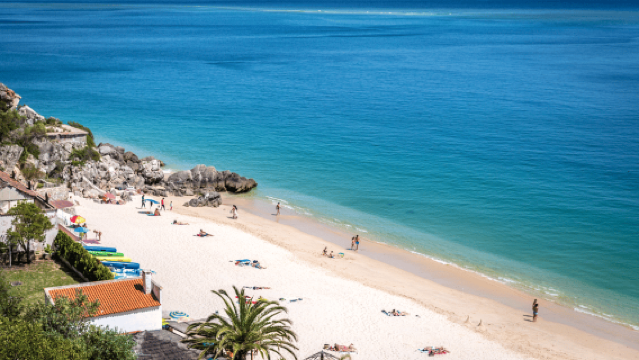 From Lisbon: Private Arrábida Natural Park with Wine Tasting