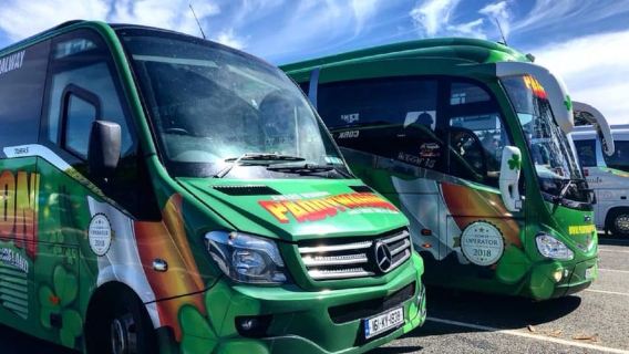 Excursión de un día al Castillo de Blarney desde Dublín