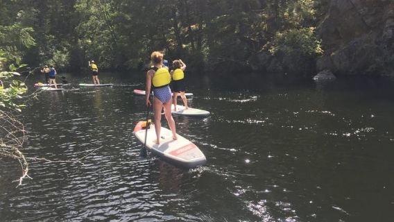 Victoria: Einführung ins Stand-Up-Paddle-Boarding am Thetis Lake