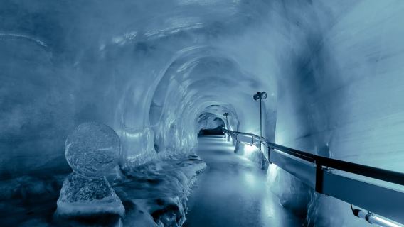 Monte Titlis: biglietto d'ingresso