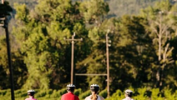 Healdsburg: Geführte Weintour mit dem E-Bike und Weingutstopps