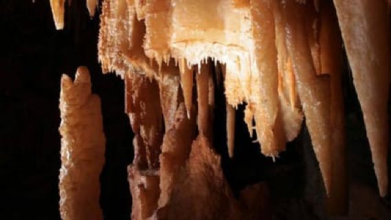 Grotte di Castellana: Visita Guidata Ufficiale con Biglietto d'Ingresso